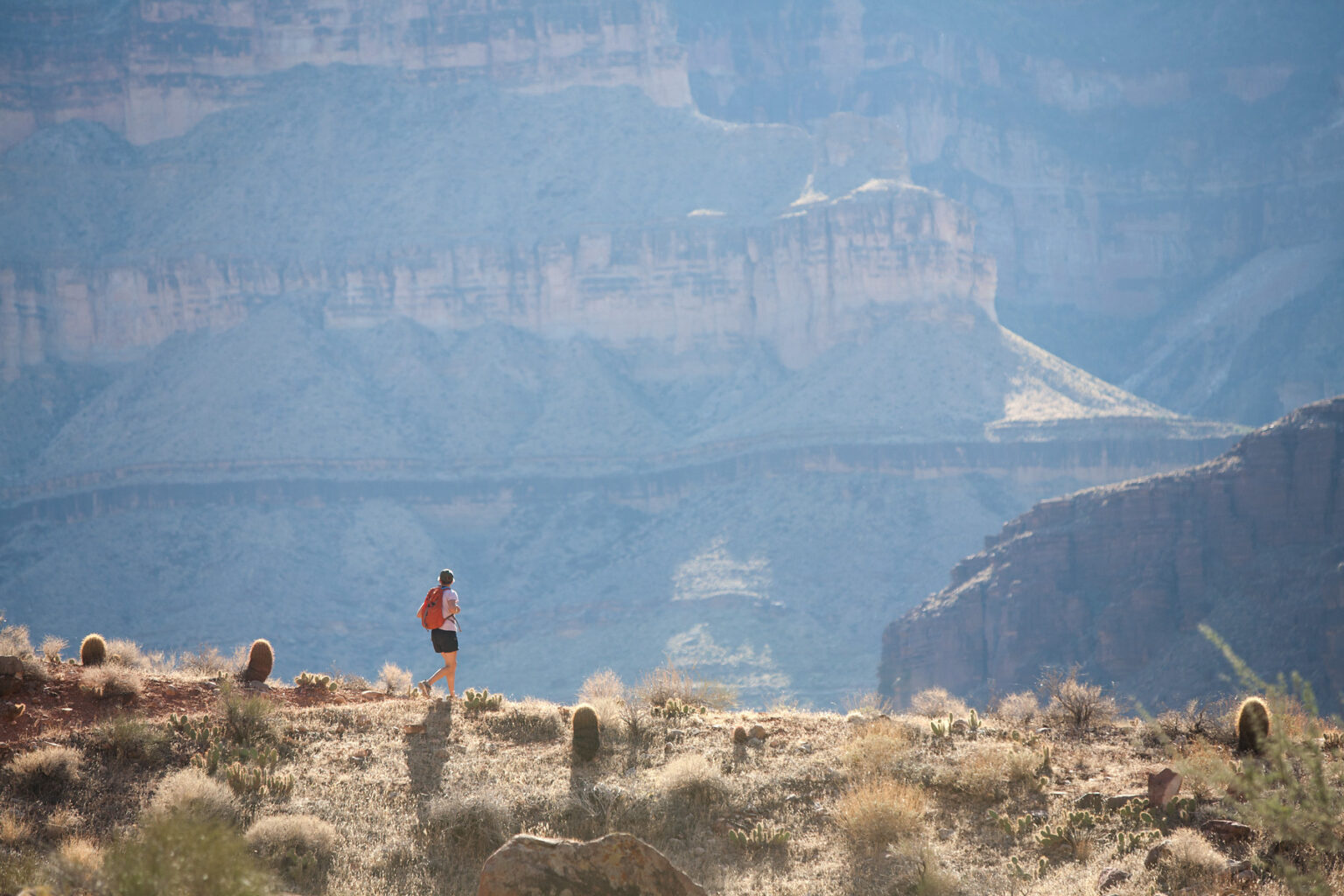 Lone hiker with backpack hikes along rim trail with cactus and breathtaking views