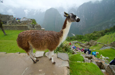 Machu Picchu Explorer | Peru Adventure Vacation | OARS